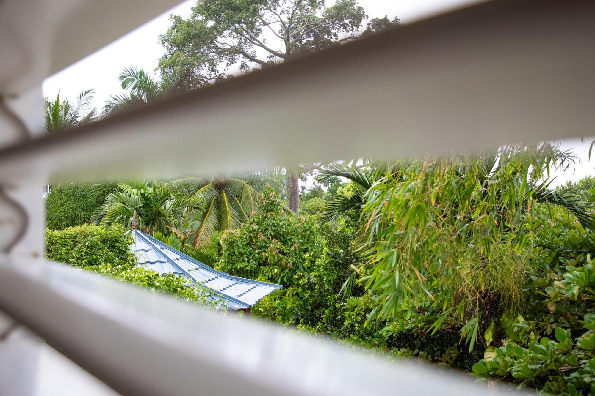 Hotel Lf Jungle Retreat Drapers Esterno foto
