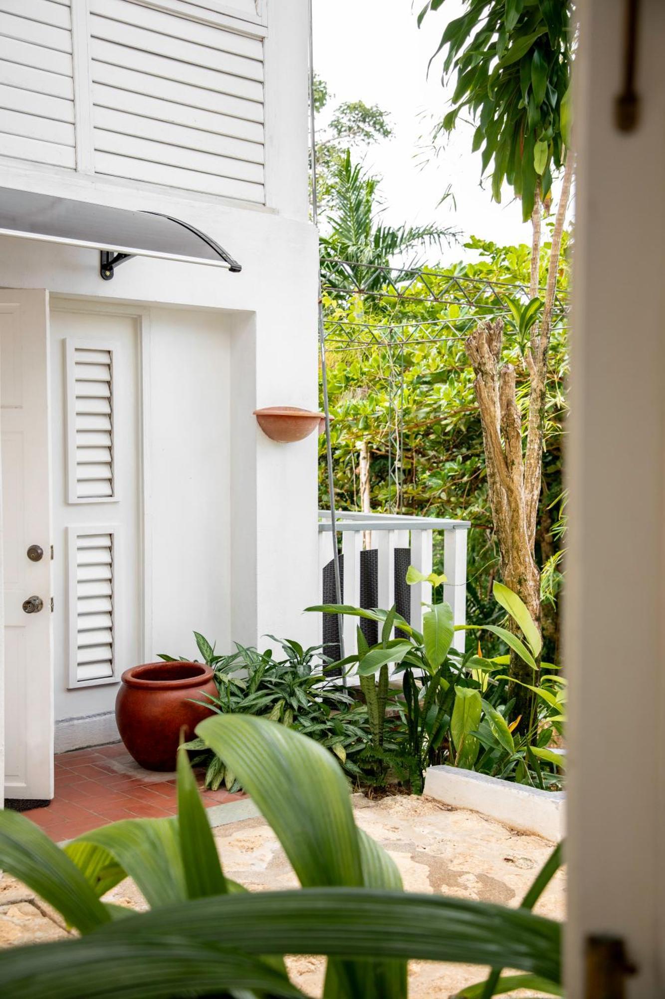 Hotel Lf Jungle Retreat Drapers Esterno foto