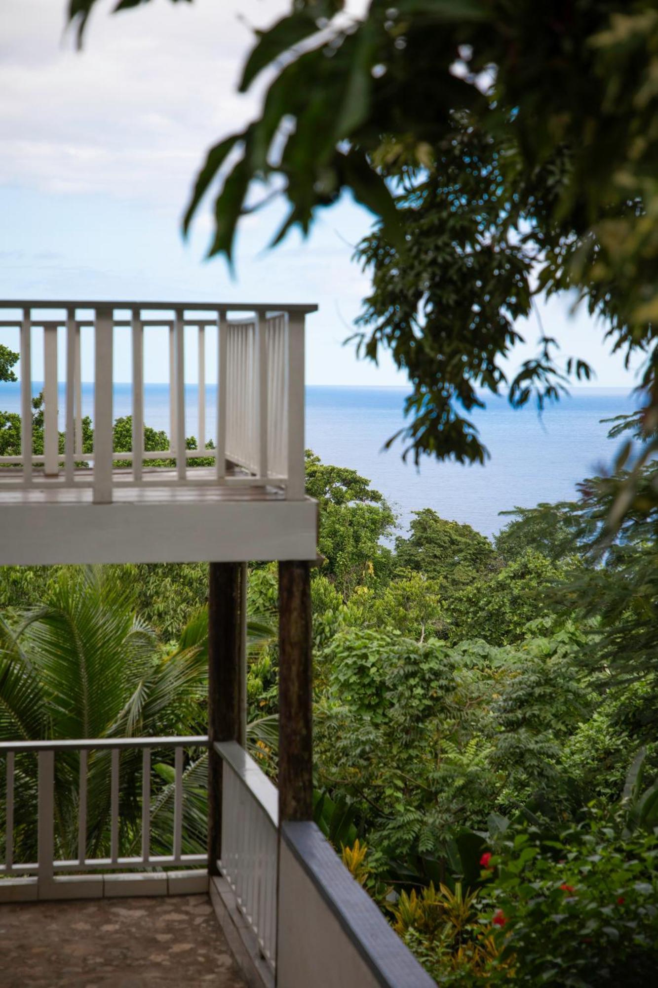 Hotel Lf Jungle Retreat Drapers Esterno foto